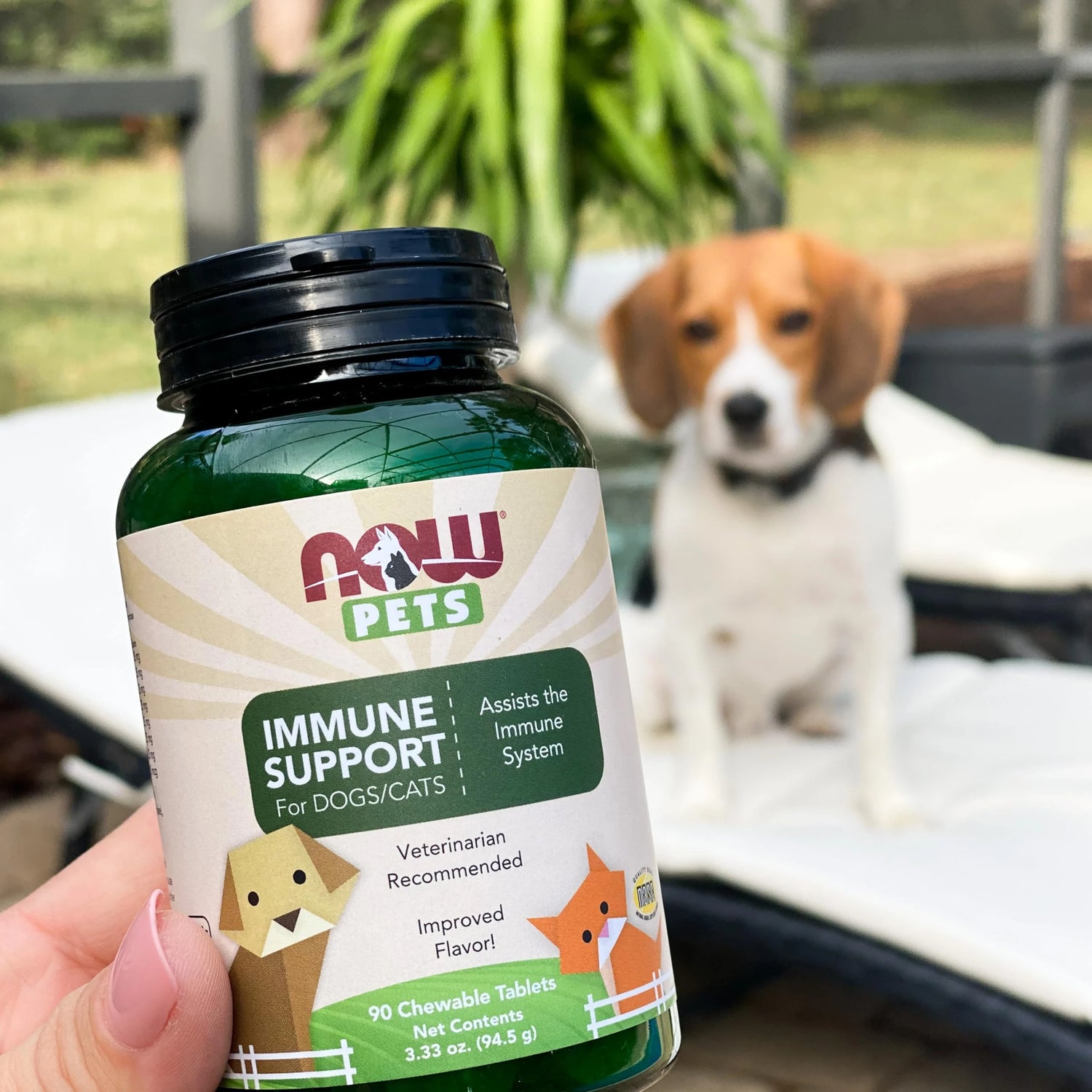 Pet Supplements