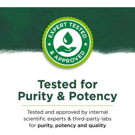 Swanson Full Spectrum Lion's Mane Mushroom, 500 mg - 60 Capsules