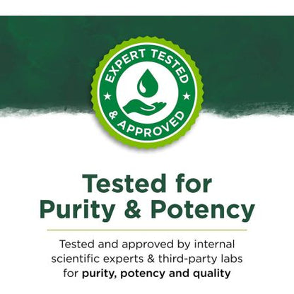 Swanson Full Spectrum Lion's Mane Mushroom, 500 mg - 60 Capsules